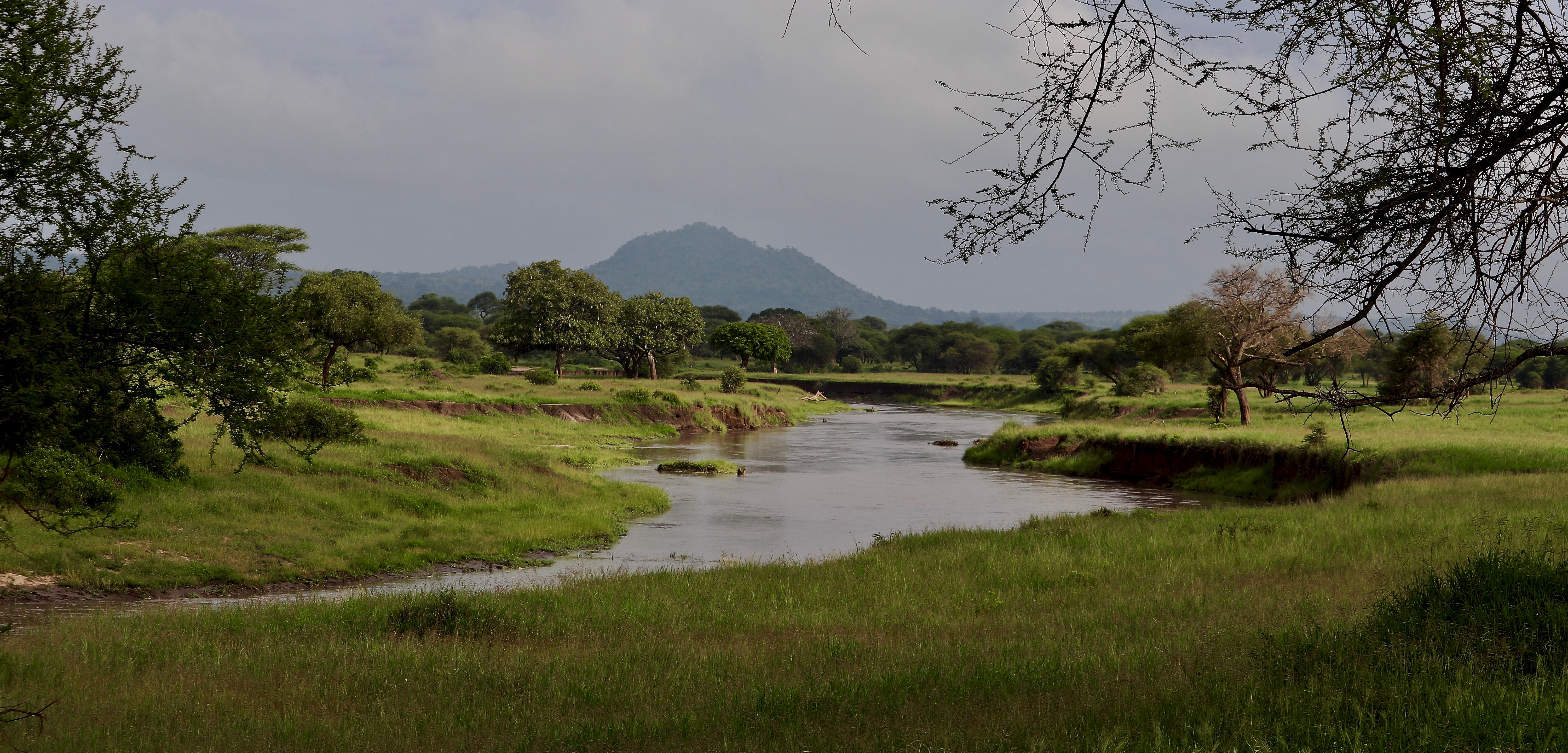 Tarangire National Park - Day 1 of Tanzania Safari